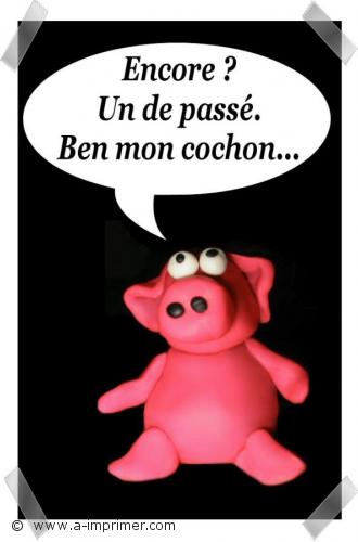 Encore un anniversaire  passer. Ben mon cochon.