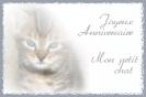 Carte Postale Gratuite A Imprimer Anniversaire Chaton